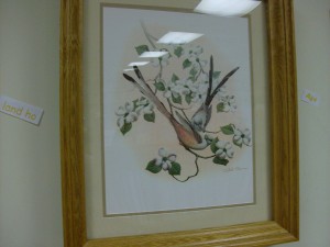 birdpicture